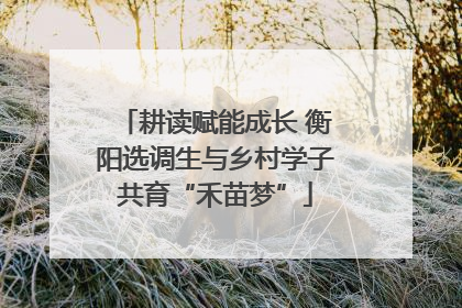 耕读赋能成长 衡阳选调生与乡村学子共育“禾苗梦”