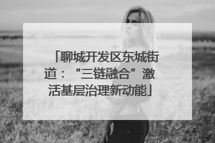 聊城开发区东城街道：“三链融合”激活基层治理新动能
