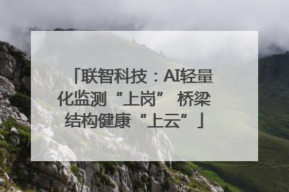 联智科技：AI轻量化监测“上岗” 桥梁结构健康“上云”