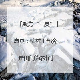 聚焦“三夏”｜息县：驻村干部奔走田间为农忙