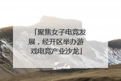 聚焦女子电竞发展，经开区举办游戏电竞产业沙龙