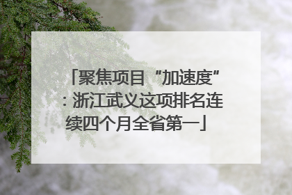 聚焦项目“加速度”：浙江武义这项排名连续四个月全省第一