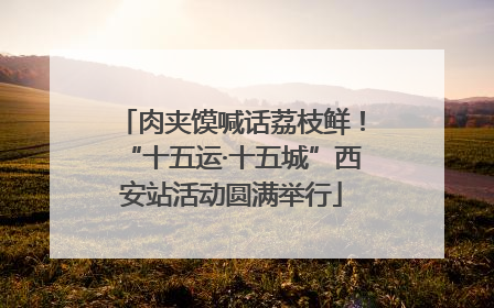 肉夹馍喊话荔枝鲜！“十五运·十五城”西安站活动圆满举行