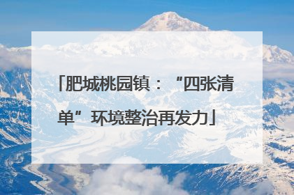 肥城桃园镇：“四张清单”环境整治再发力