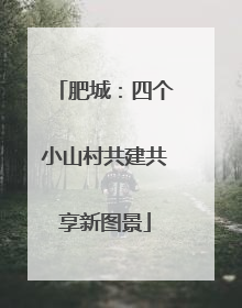 肥城：四个小山村共建共享新图景