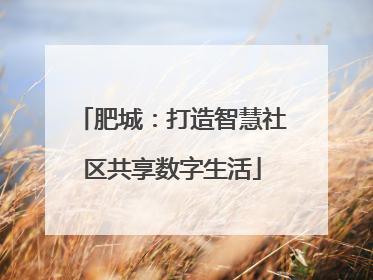 肥城：打造智慧社区共享数字生活