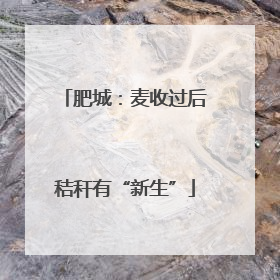 肥城：麦收过后秸秆有“新生”