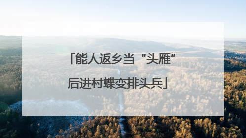 能人返乡当“头雁” 后进村蝶变排头兵