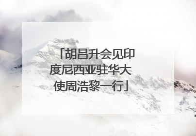 胡昌升会见印度尼西亚驻华大使周浩黎一行