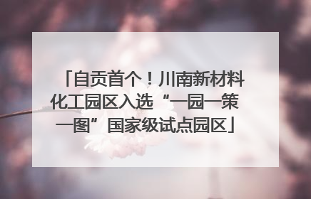 自贡首个！川南新材料化工园区入选“一园一策一图”国家级试点园区
