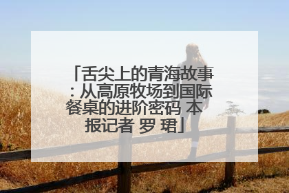 舌尖上的青海故事：从高原牧场到国际餐桌的进阶密码 本报记者 罗 珺