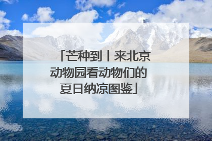 芒种到丨来北京动物园看动物们的夏日纳凉图鉴