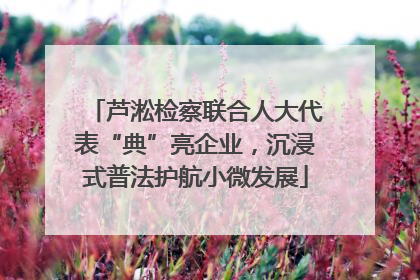 芦淞检察联合人大代表“典”亮企业，沉浸式普法护航小微发展