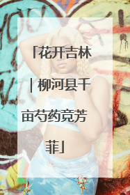 花开吉林｜柳河县千亩芍药竞芳菲