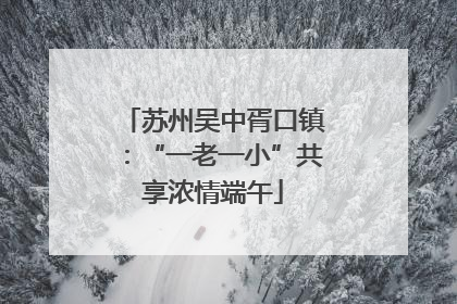 苏州吴中胥口镇：“一老一小”共享浓情端午