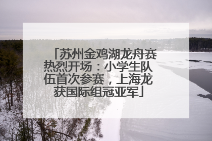 苏州金鸡湖龙舟赛热烈开场：小学生队伍首次参赛，上海龙获国际组冠亚军
