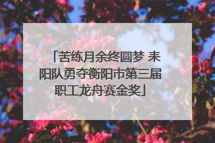 苦练月余终圆梦 耒阳队勇夺衡阳市第三届职工龙舟赛金奖