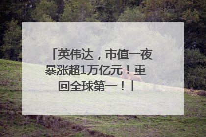 英伟达，市值一夜暴涨超1万亿元！重回全球第一！