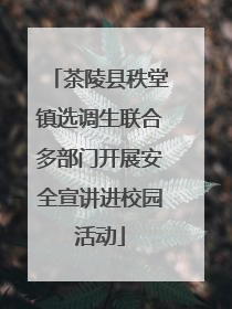 茶陵县秩堂镇选调生联合多部门开展安全宣讲进校园活动