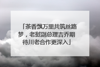 茶香飘万里共筑丝路梦，老挝副总理吉乔期待川老合作更深入