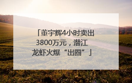 董宇辉4小时卖出3800万元，潜江龙虾火爆“出圈”