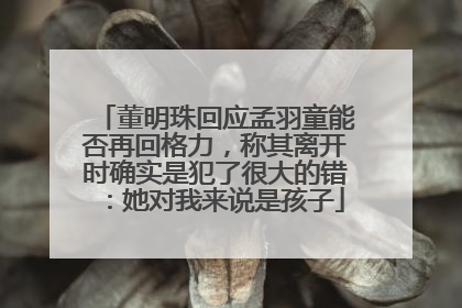 董明珠回应孟羽童能否再回格力，称其离开时确实是犯了很大的错：她对我来说是孩子