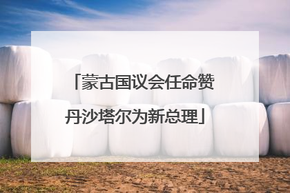 蒙古国议会任命赞丹沙塔尔为新总理