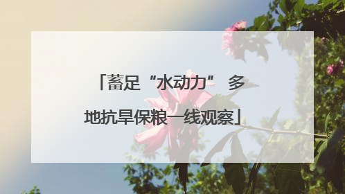 蓄足“水动力” 多地抗旱保粮一线观察