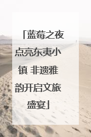 蓝莓之夜点亮东夷小镇 非遗雅韵开启文旅盛宴