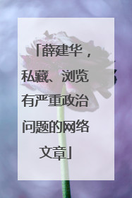 薛建华，私藏、浏览有严重政治问题的网络文章