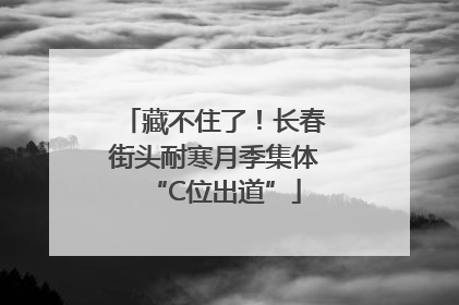 藏不住了！长春街头耐寒月季集体“C位出道”