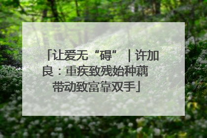 让爱无“碍”｜许加良：重疾致残始种藕 带动致富靠双手