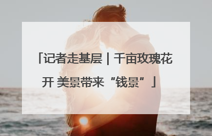 记者走基层｜千亩玫瑰花开 美景带来“钱景”