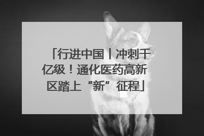 行进中国丨冲刺千亿级！通化医药高新区踏上“新”征程