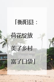 衡阳县：荷花绽放 美了乡村 富了口袋