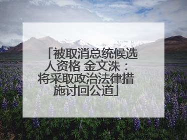 被取消总统候选人资格 金文洙：将采取政治法律措施讨回公道