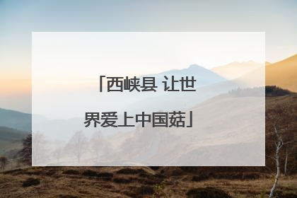 西峡县 让世界爱上中国菇