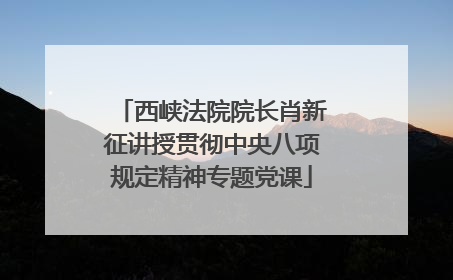 西峡法院院长肖新征讲授贯彻中央八项规定精神专题党课