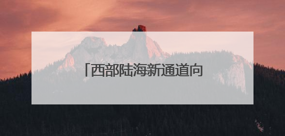 西部陆海新通道向南行丨探寻新通道货物运量增长密码
