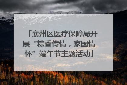 襄州区医疗保障局开展“粽香传情，家国情怀”端午节主题活动