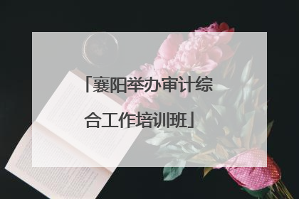 襄阳举办审计综合工作培训班