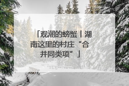 观潮的螃蟹丨湖南这里的村庄“合并同类项”