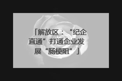 解放区：“纪企直通”打通企业发展“肠梗阻”