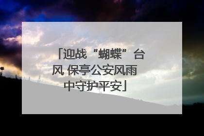 迎战“蝴蝶”台风 保亭公安风雨中守护平安