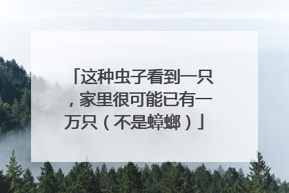 这种虫子看到一只，家里很可能已有一万只（不是蟑螂）