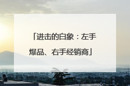 进击的白象：左手爆品、右手经销商