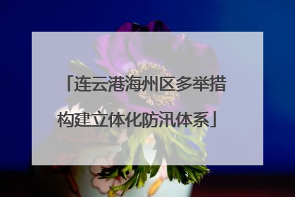 连云港海州区多举措构建立体化防汛体系