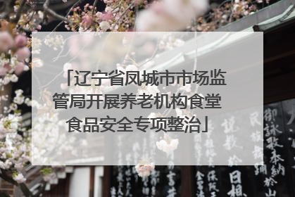 辽宁省凤城市市场监管局开展养老机构食堂食品安全专项整治