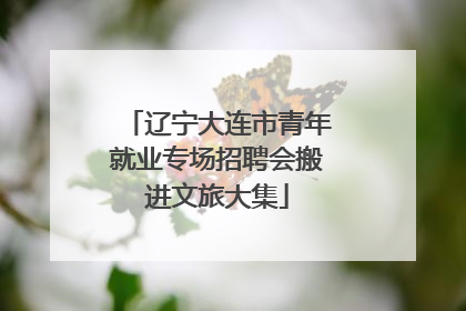 辽宁大连市青年就业专场招聘会搬进文旅大集