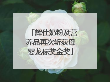 辉仕奶粉及营养品再次斩获母婴龙标奖金奖